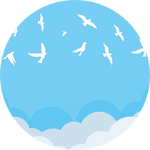 Mavi gökyüzünde uçan kuşlar